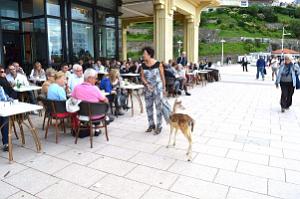 Biarritz 074